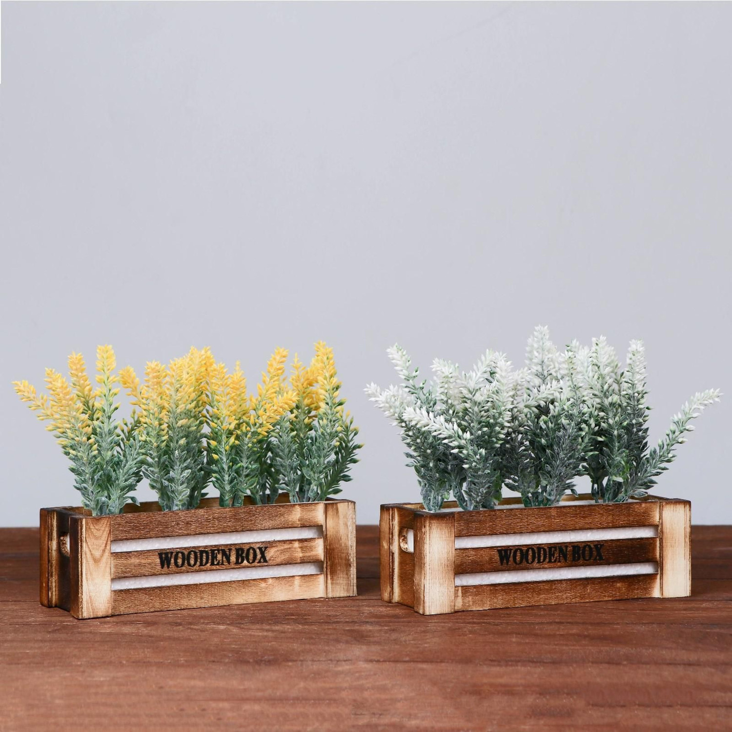 Бонсай "Лаванда в ящичке" 8х16,5х15 см микс   4736462 Бонсай "Лаванда в ящичке" 8х16,5х15 см микс   4736462