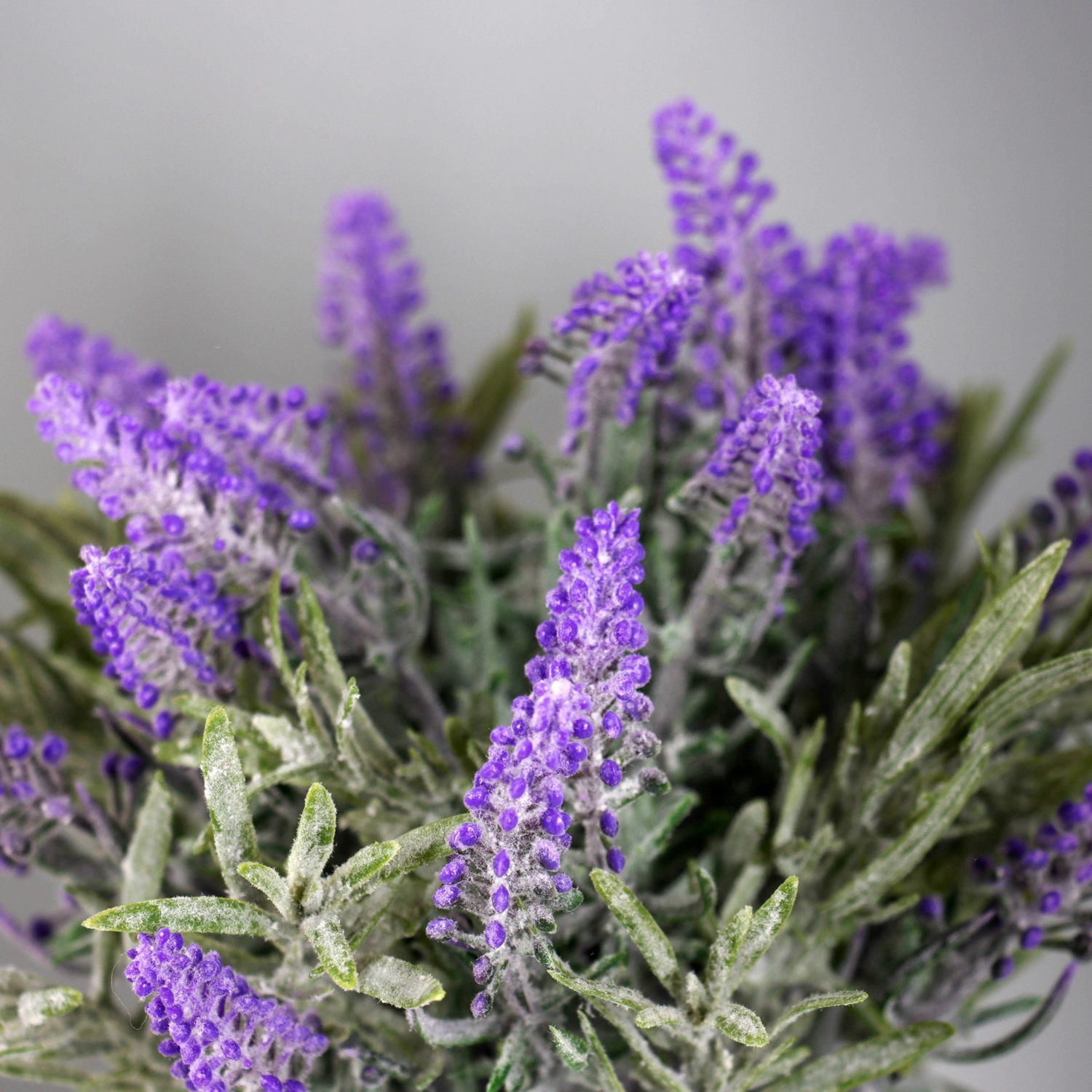 Бонсай "Лаванда экстра галант" 8х18 см, сиреневый   10325057