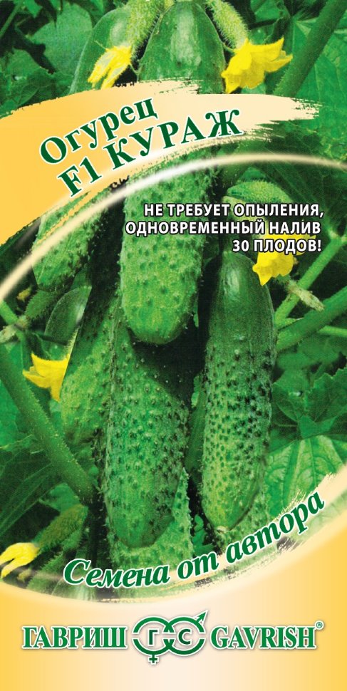Семена Огурец Кураж F1  10шт Гавриш автор *10/500