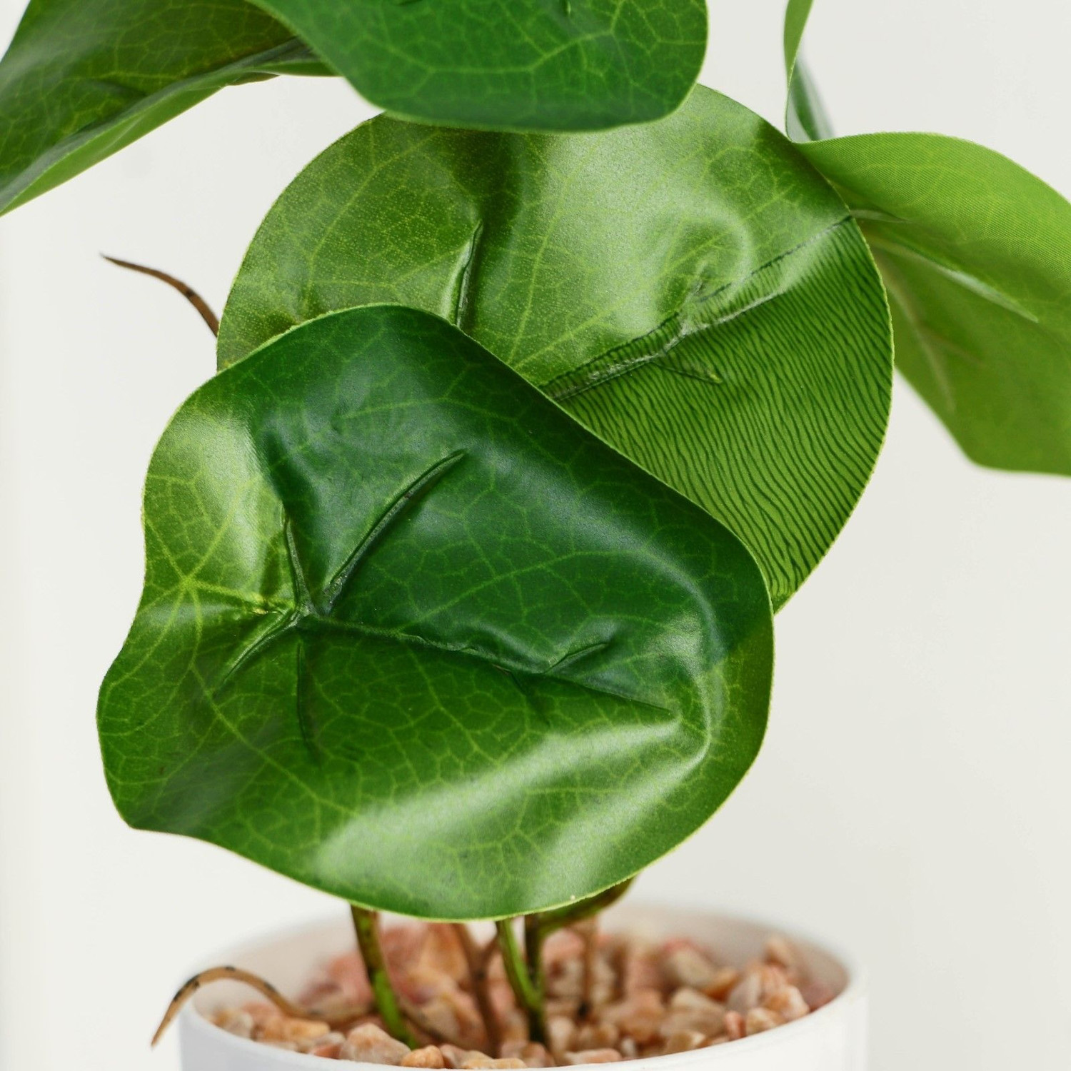 Бонсай в горшке «Антуриум галант» 7,5х20 см 9789752 Бонсай в горшке «Антуриум галант» 7,5х20 см 9789752