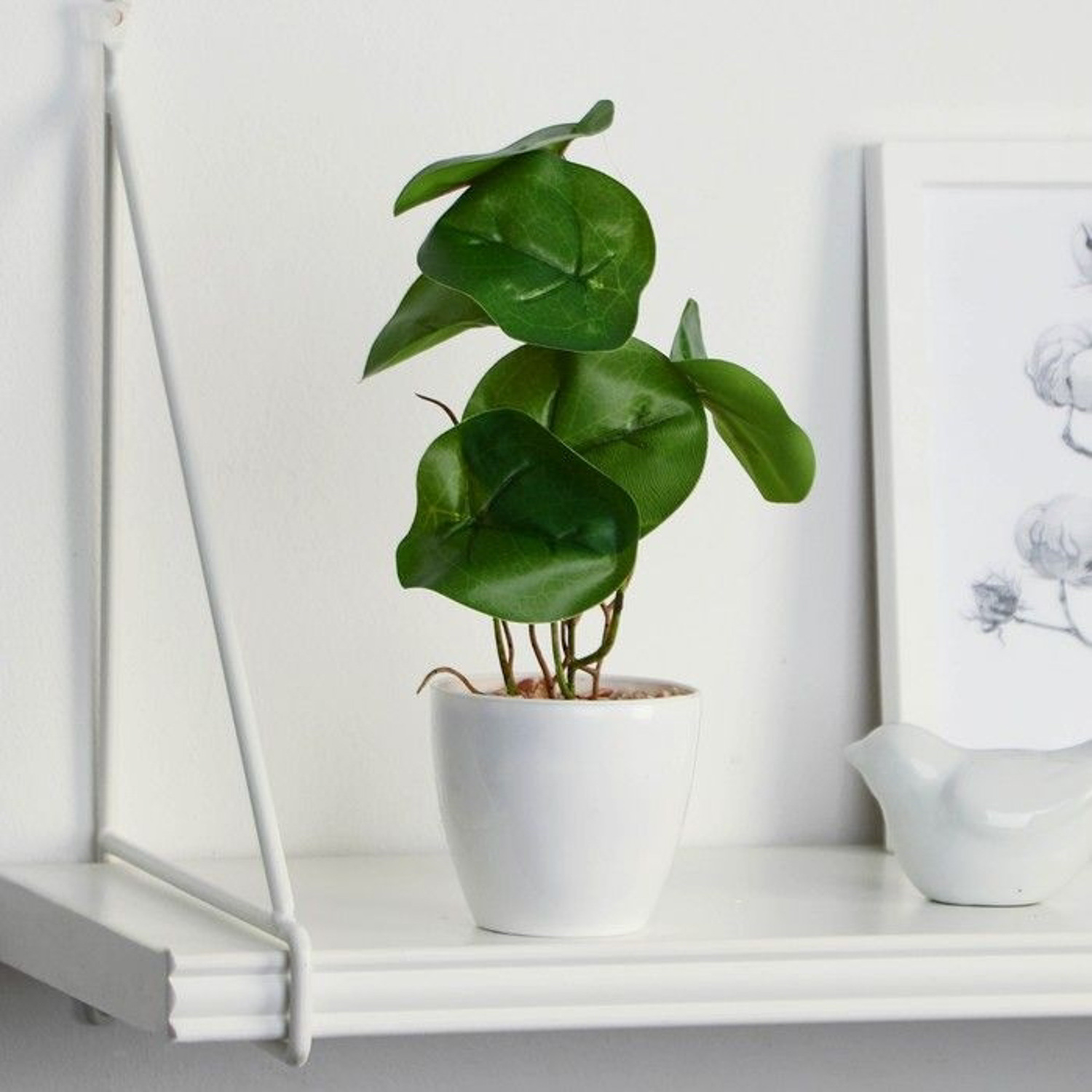 Бонсай в горшке «Антуриум галант» 7,5х20 см 9789752 Бонсай в горшке «Антуриум галант» 7,5х20 см 9789752