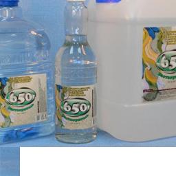 Растворитель 650 3 л/2,3 кг канистра Можга *4/300