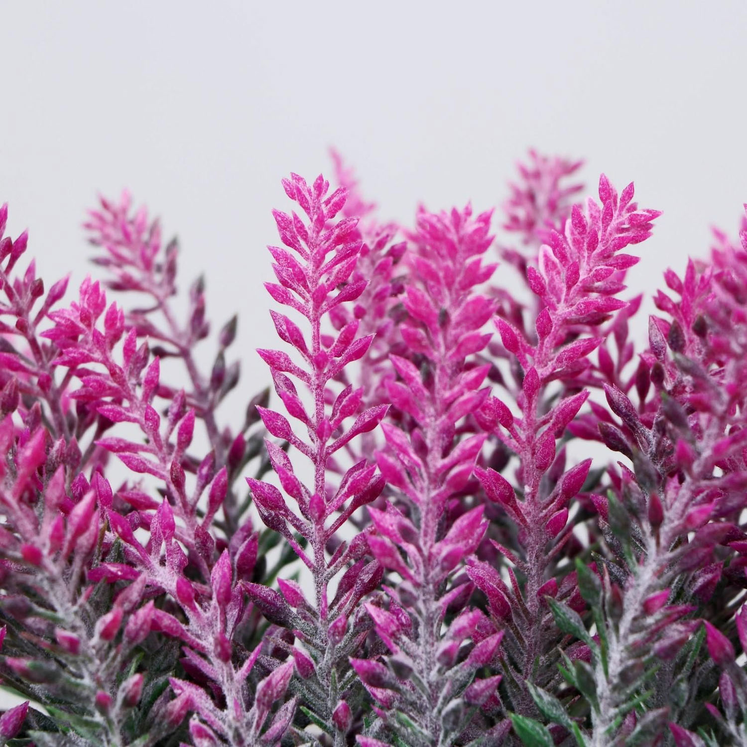 Бонсай "Лаванда в ящичке" 8х16,5х15 см микс   4736462 Бонсай "Лаванда в ящичке" 8х16,5х15 см микс   4736462