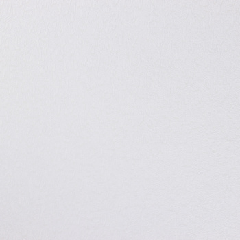 Обои флиз белые Vlies Band 1,06*10м 1022-10 *1/9