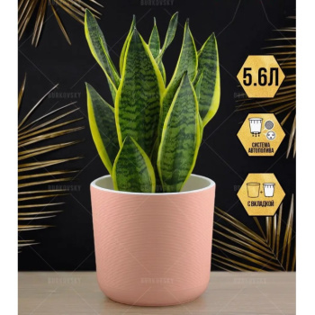 Кашпо пластм. "Лион" 5,6л d верха 210мм h195мм со вставкой Розовый-вереск ЛИ21-20 *1/4