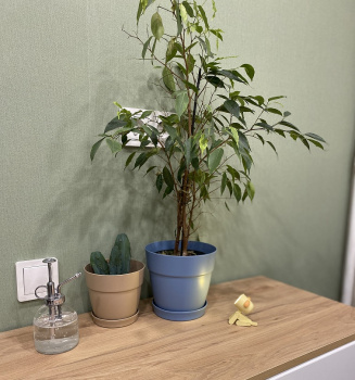 Кашпо пластм. "Villa de Fiori" 4л d верха 200мм h188мм с поддоном Француз. платан IG660210025 *1/8