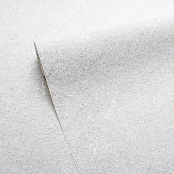 Обои  флиз Victoria Stenova Georg 283671  1.06*10м *6