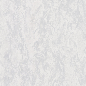 Обои винил "Палитра" PROTECT-TORNADO фон (сер.) HC11067-14a 0,53*10м *1/16