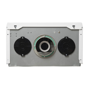 Котел газовый "Oasis Eco" RE-24 *1