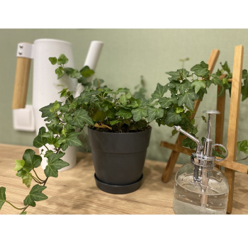 Кашпо пластм. "Villa de Fiori" 1,1л d верха 130мм h155мм с поддоном Француз. платанIG660010025*1/10