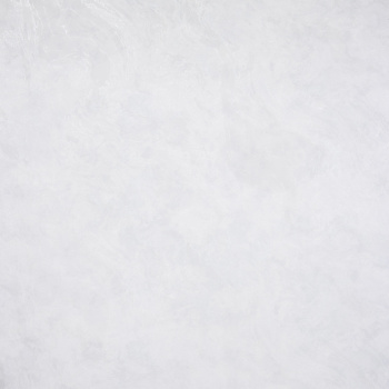 Обои флиз. "Эрисманн" Juliana фон (бел.) 61038-01 10.05х1.06м *6