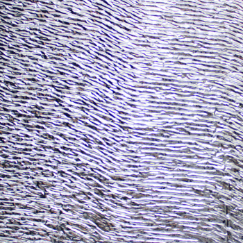 Утеплитель фольгированный Изолар ЛМ 10, 10 мм, 1 м