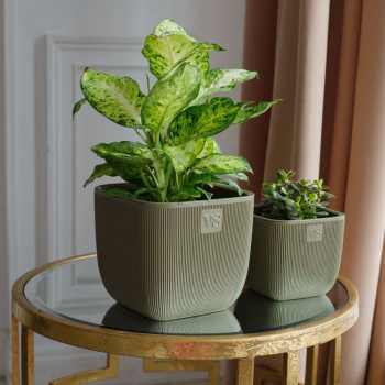 Кашпо пластм. "Фабио" 4,7л 190х190мм h190мм со вставкой Оливка AMF-4,7-14  ("VipSet") *1/8 Кашпо пластм. "Фабио" 4,7л 190х190мм h190мм со вставкой Оливка AMF-4,7-14  ("VipSet") *1/8