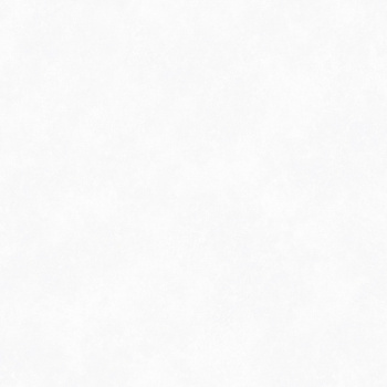 Обои флиз "WallSecret Comfort" 8665-10 10*1,06м *6